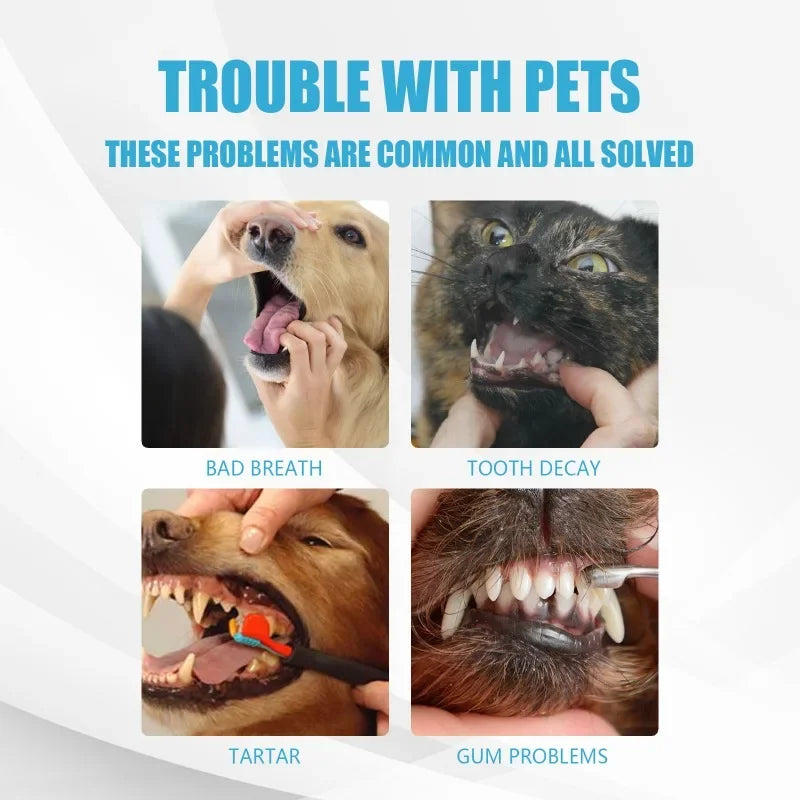 Cats Dogs Toothpaste Pet Cleaning Products Pet Oral Gum Care Cleaning