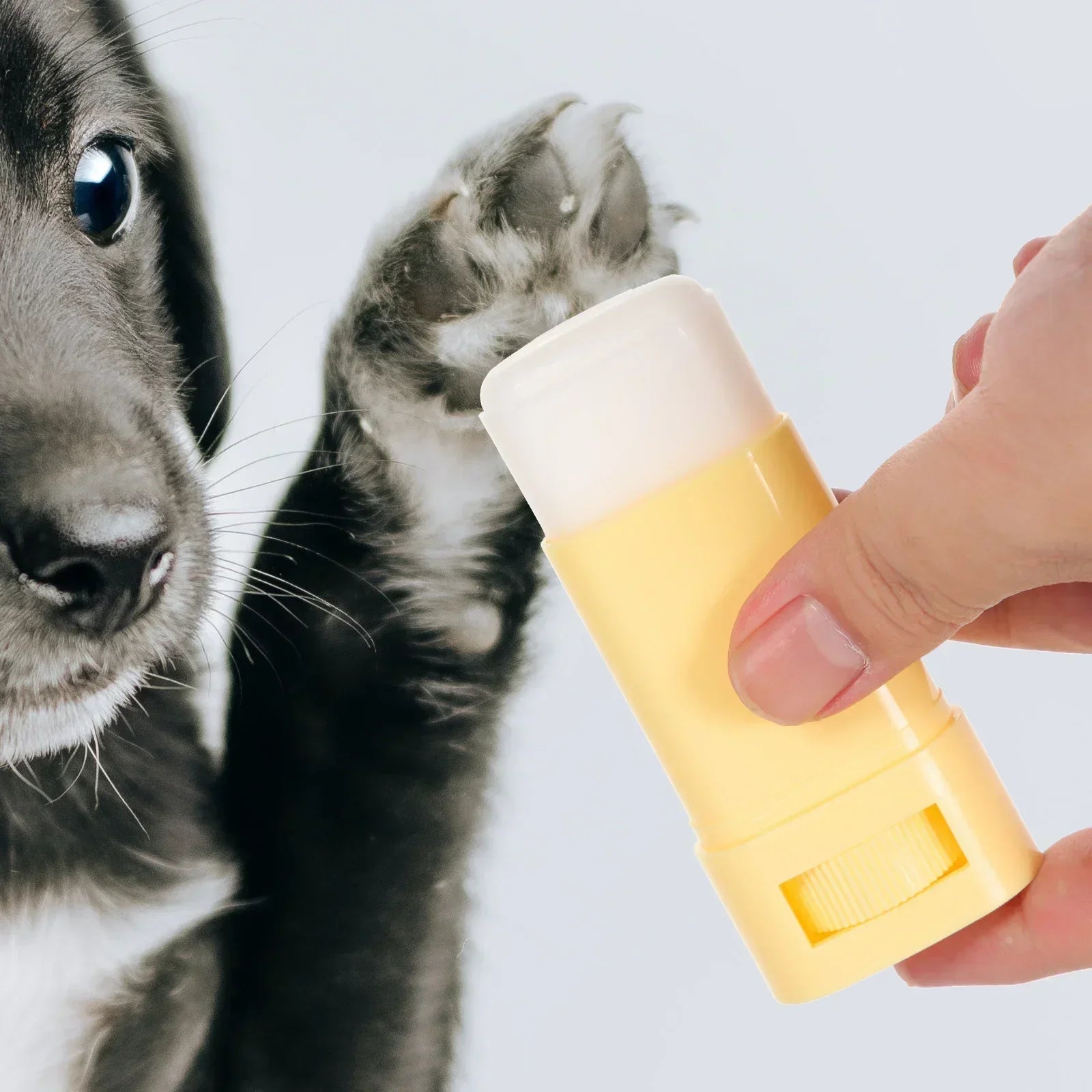 15gPet Paw Balm Cat Dog Caring Supplies Foot Moisturizer Household