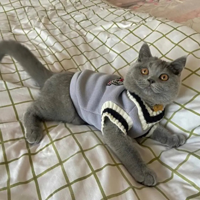 Pet Solid Costume  Cat Clothes Autumn Winter Jacket Christmas Sweater