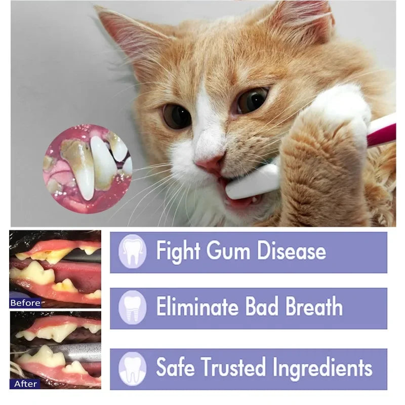 Cats Dogs Toothpaste Pet Cleaning Products Pet Oral Gum Care Cleaning